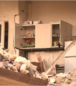 解梦梦到甲由附身怎样说