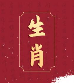 老鼠和狗属相配吗？星座