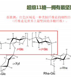 珍稀水前寺蓝藻 SACRAN以万能修护力改写护肤身分支流法例？
